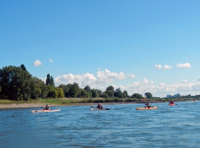 Abpaddeln auf dem Rhein 27.09.2015_12
